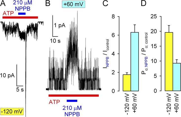 Figure 7.