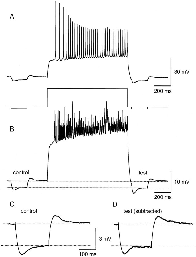 Fig. 5.