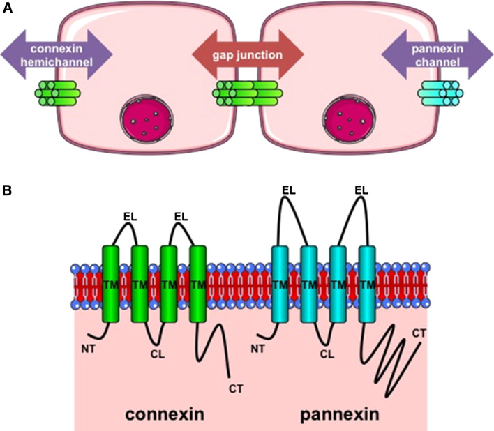 Fig. 1