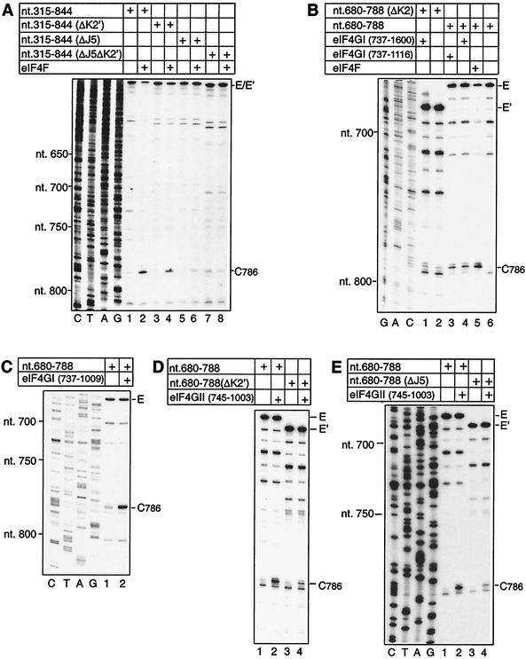 FIG. 3.