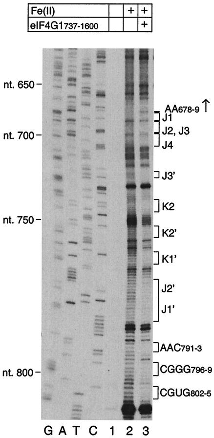 FIG. 5.