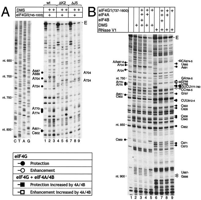 FIG. 4.