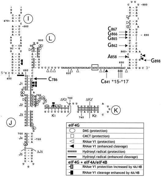 FIG. 1.