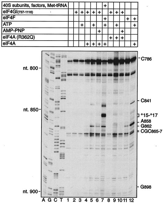 FIG. 7.