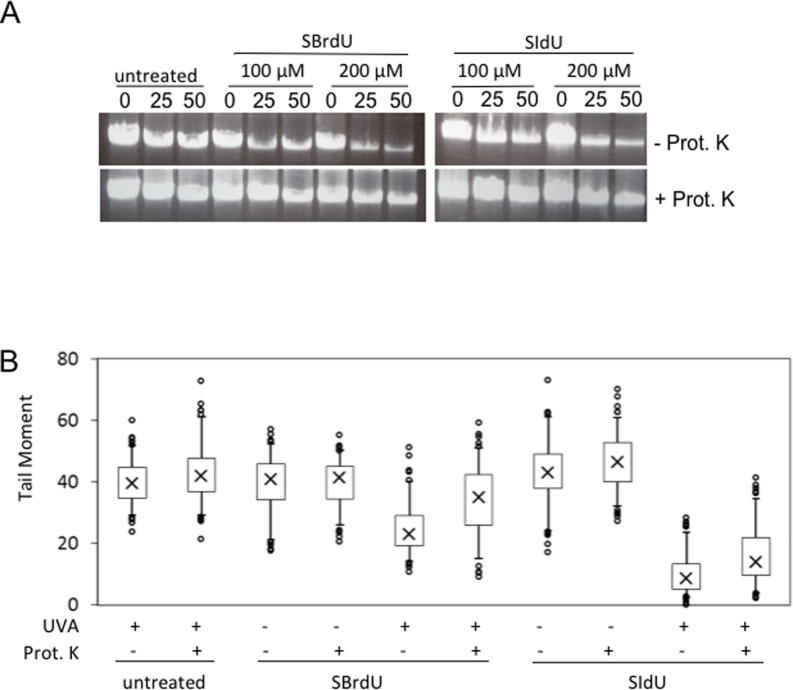 Supplementary Figure 2