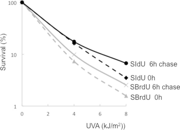 Supplementary Figure 1