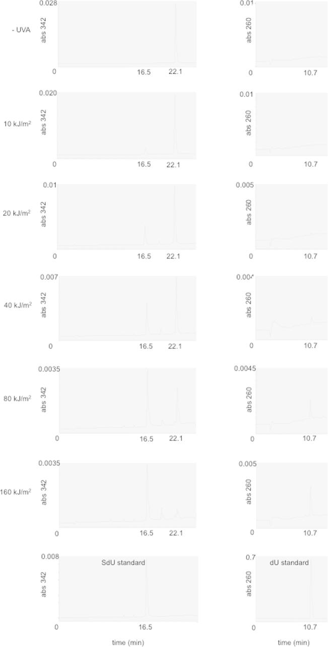 Supplementary Figure 3