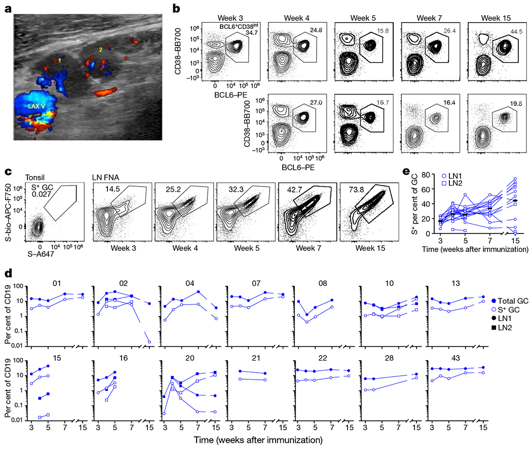 Fig. 2|