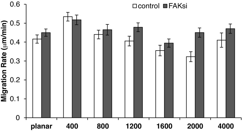 Fig. 9.