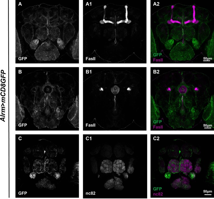 Fig. 4