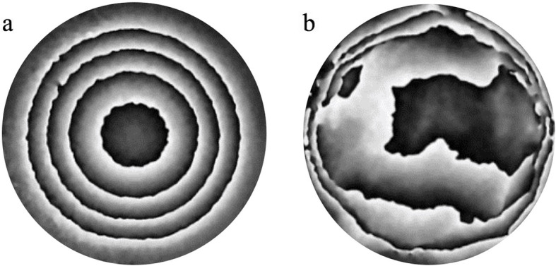 Fig. 3