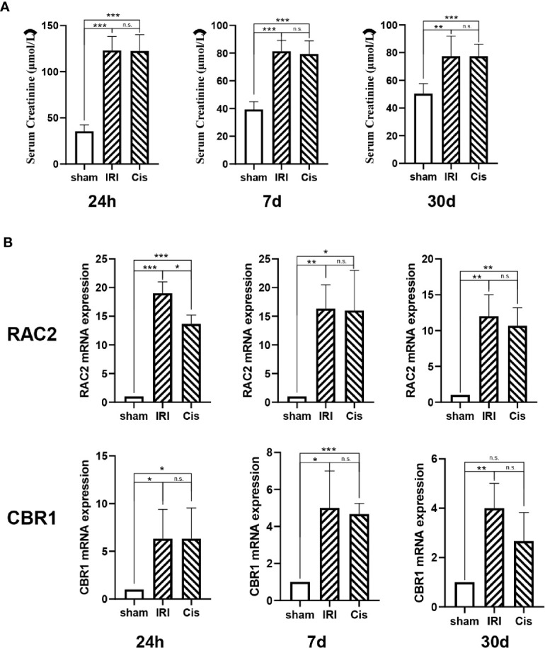 Figure 6