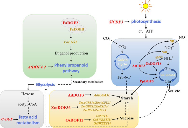 Figure 4