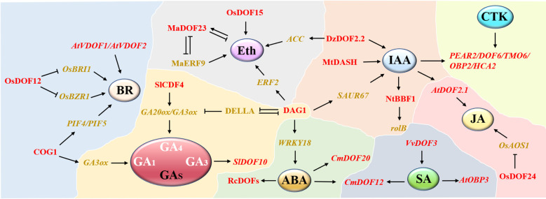 Figure 3