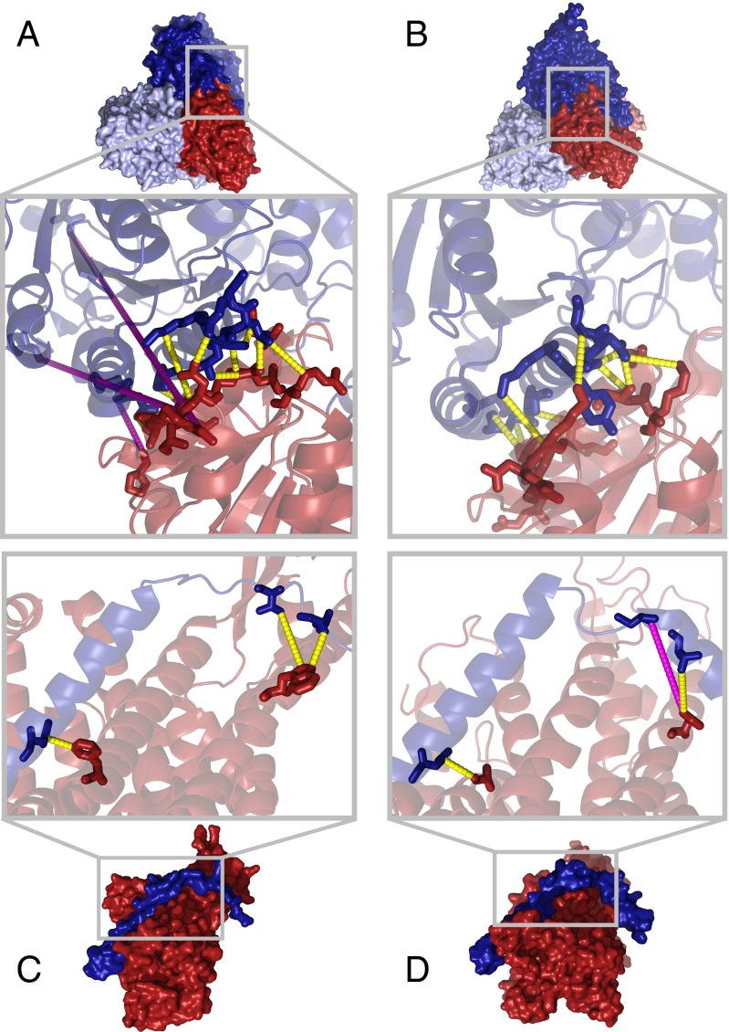 Fig. 4.