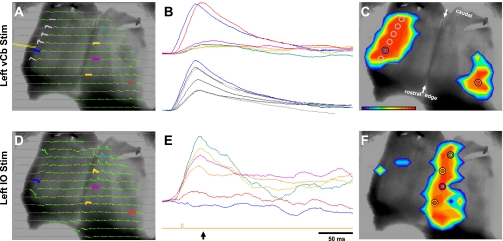 Fig. 7.