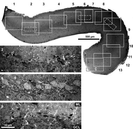 Fig. 11.