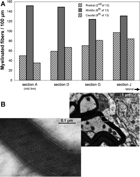 Fig. 13.