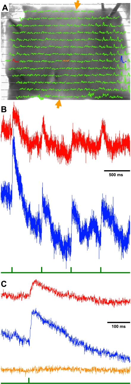 Fig. 2.