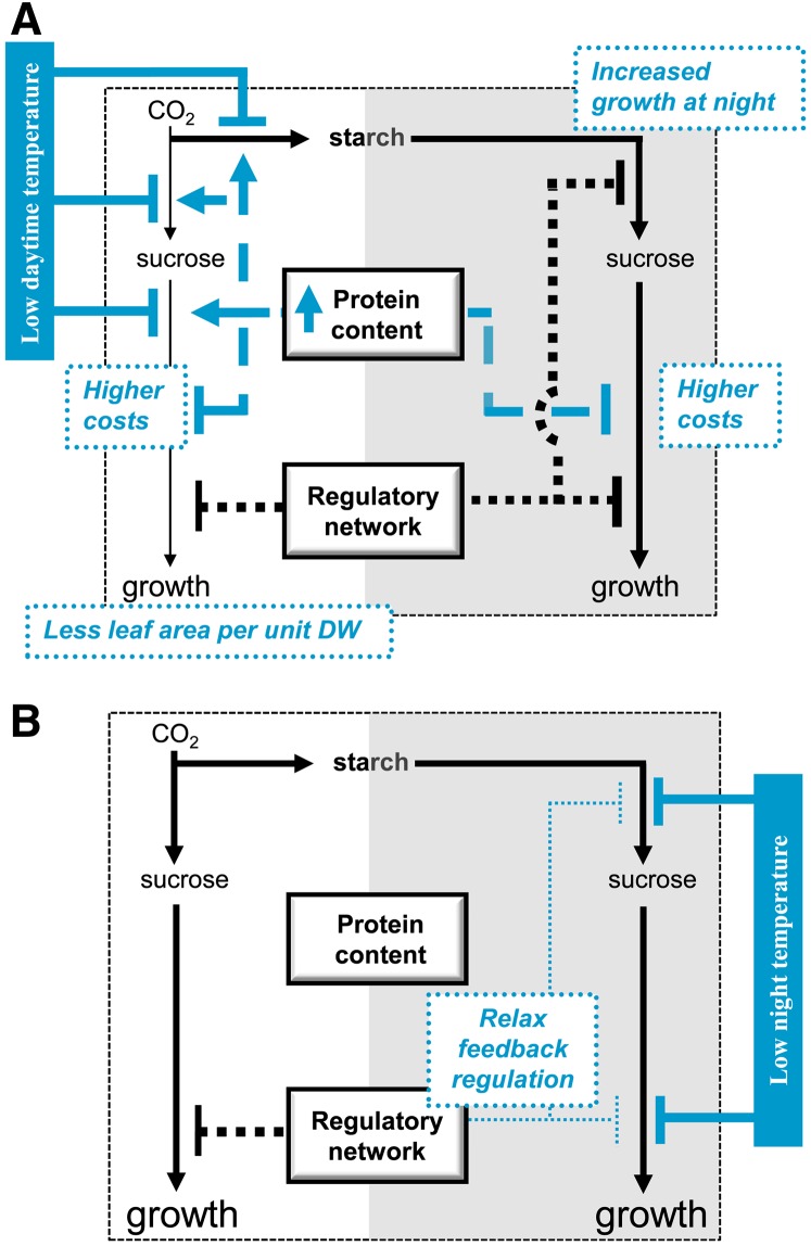 Figure 9.