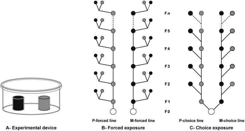 Fig. 1.