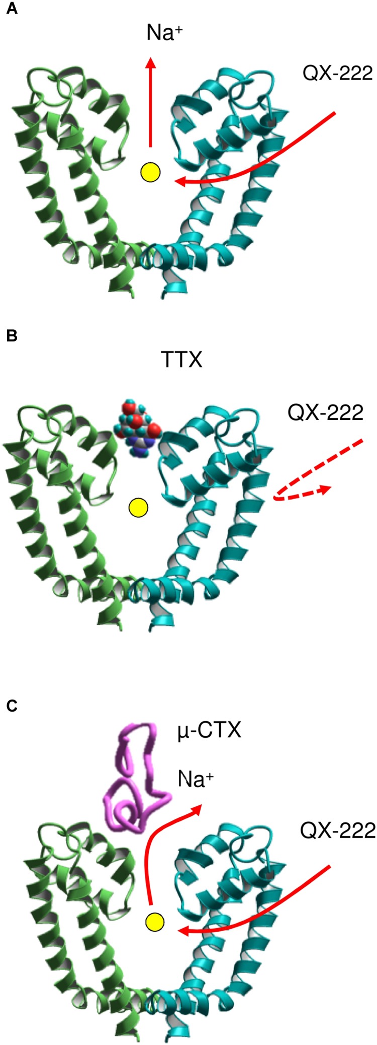 FIGURE 3