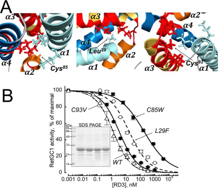 Figure 5.