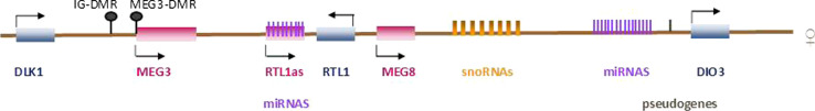 Fig. 1