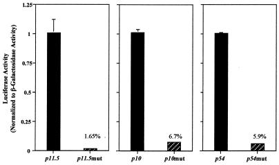 FIG. 5