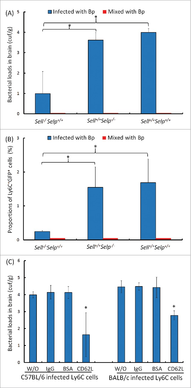 Figure 7.