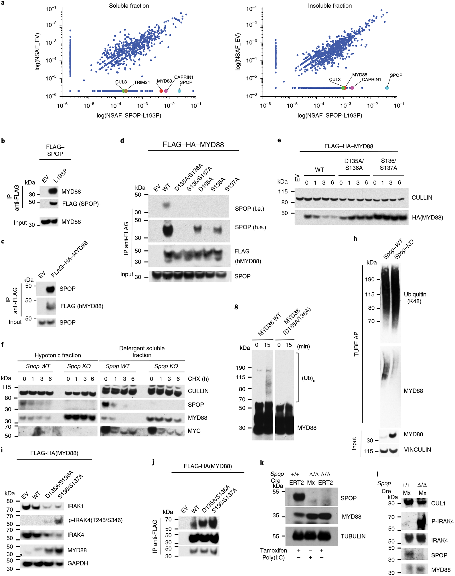 Fig. 4 |