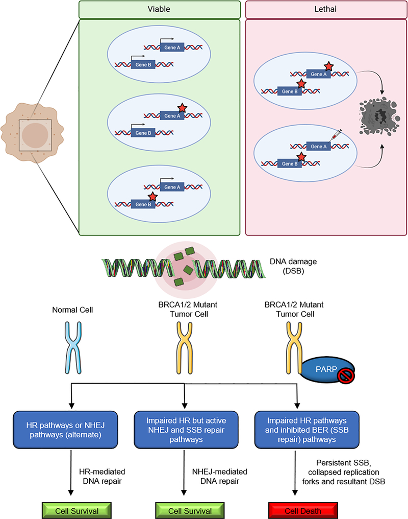 Figure 1: