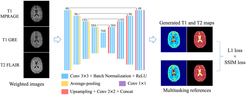 FIGURE 1