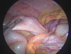 Fig. C