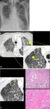 Fig. 8