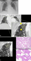 Fig. 5