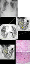 Fig. 4