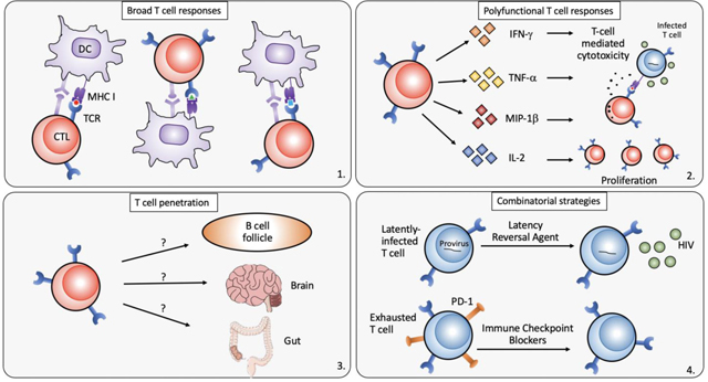 graphic file with name nihms-1594417-f0001.jpg