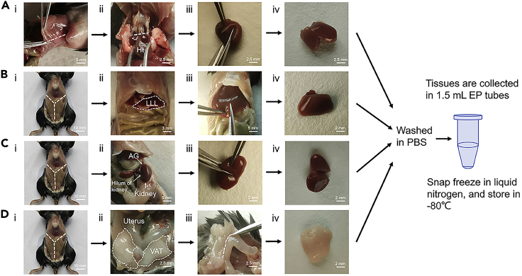 Figure 3