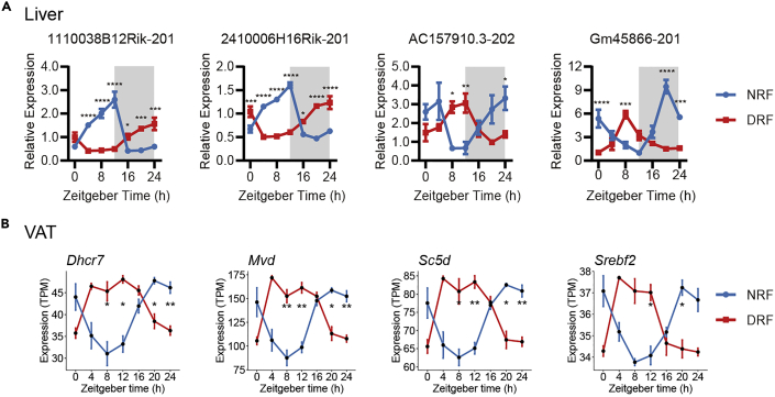 Figure 6