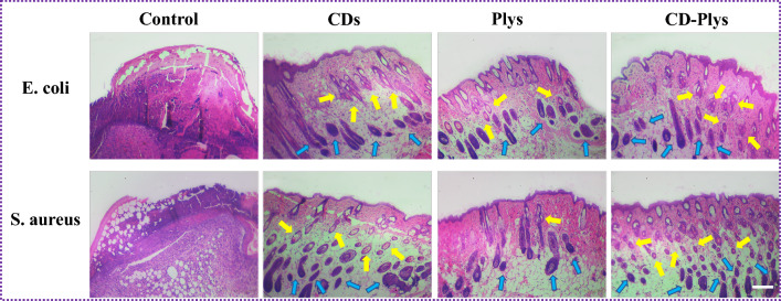 Fig. 7