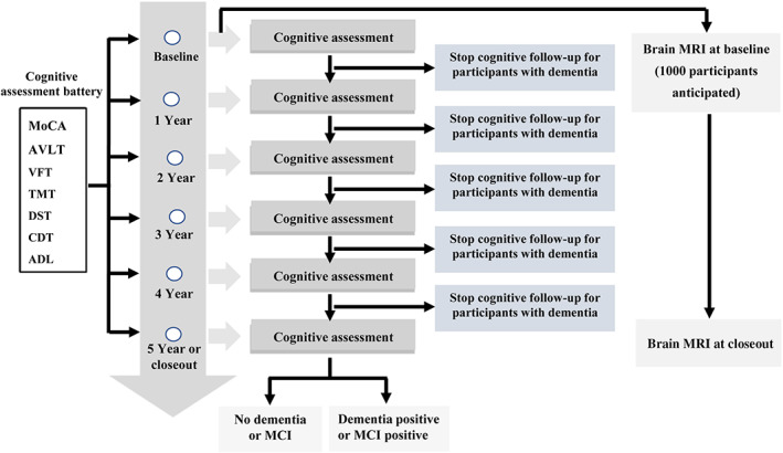 FIGURE 1