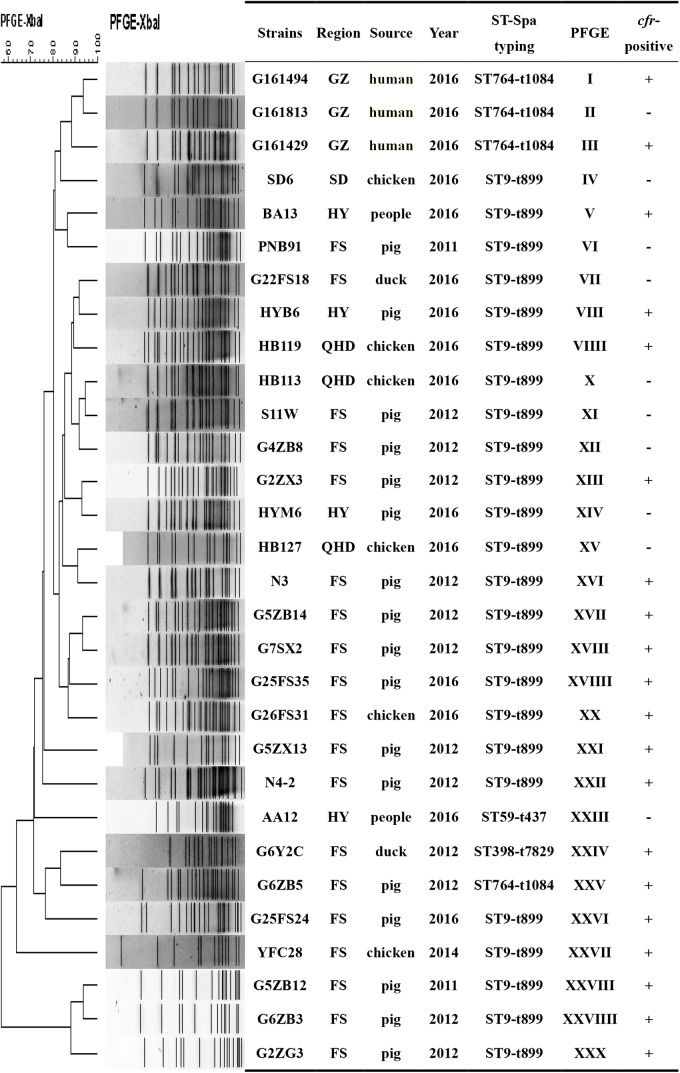 FIGURE 3