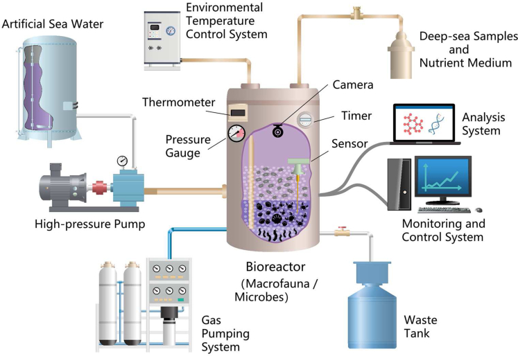 Figure 7