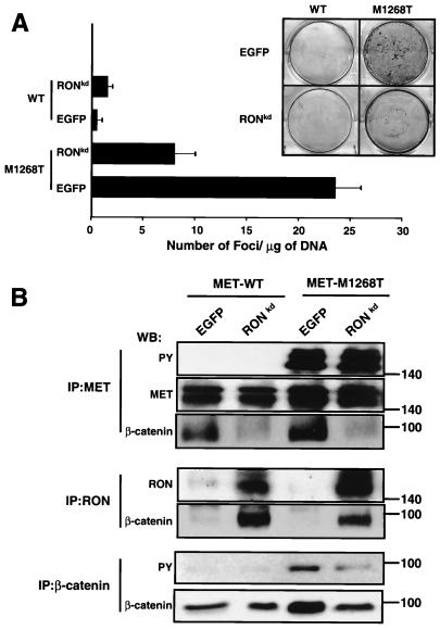 FIG. 8