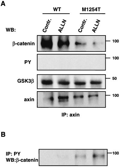 FIG. 5