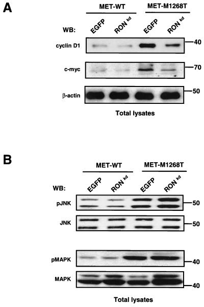 FIG. 9