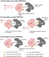 Figure 7-