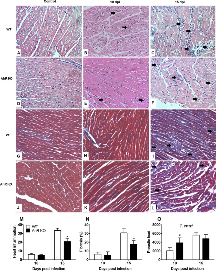 FIG 6