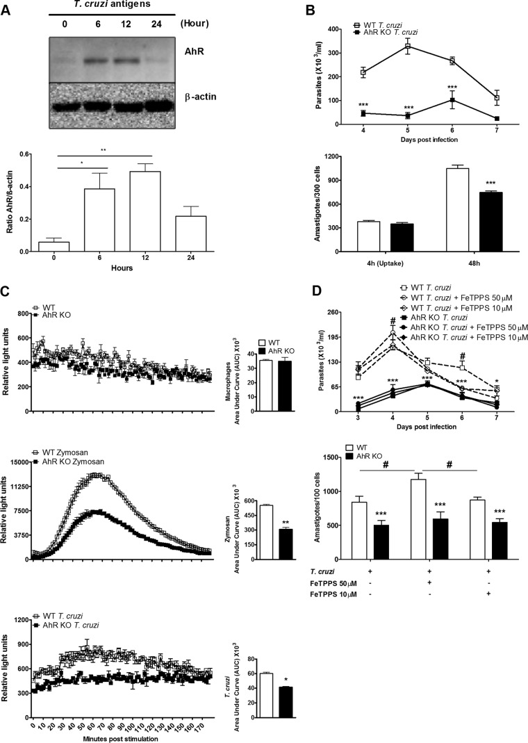 FIG 3